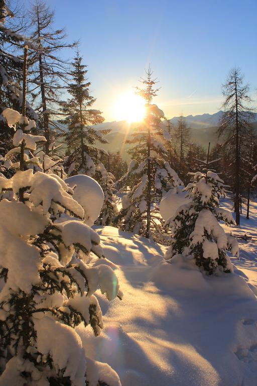 Berggasthof Pension Pfitscher Unsere Liebe Frau im Walde Luaran gambar