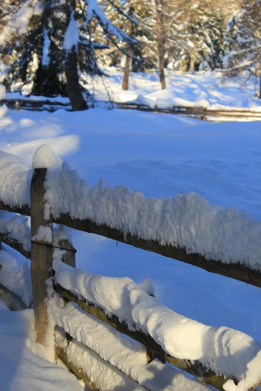 Berggasthof Pension Pfitscher Unsere Liebe Frau im Walde Luaran gambar
