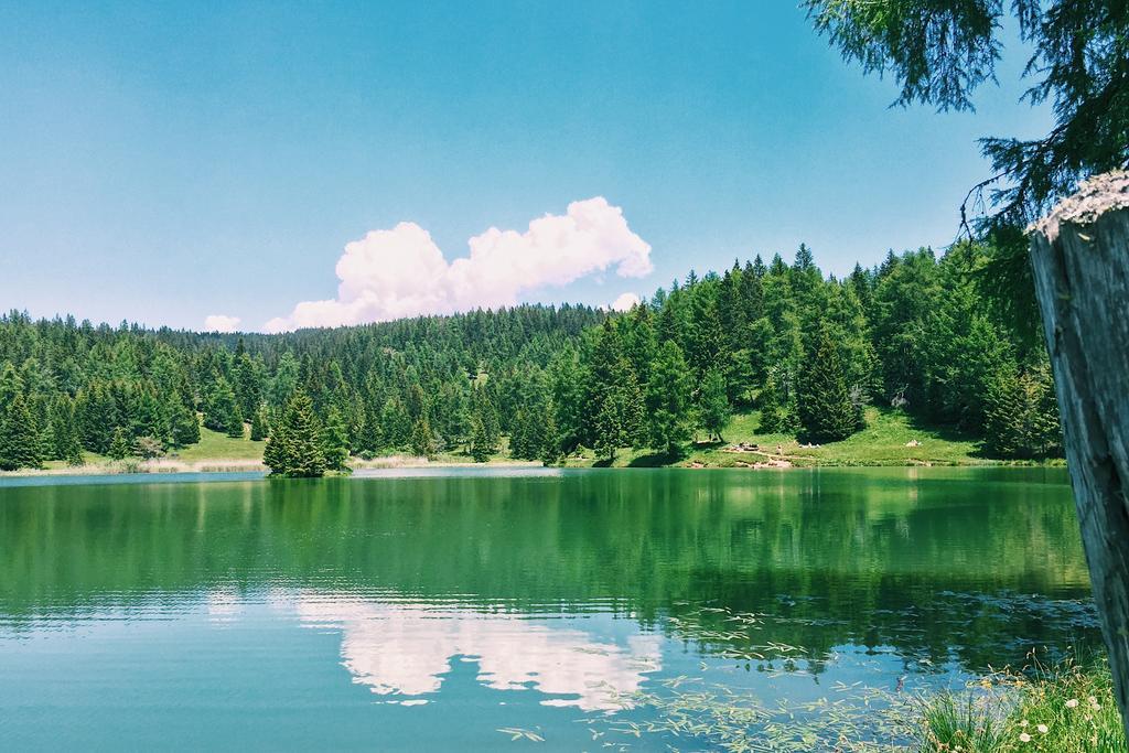 Berggasthof Pension Pfitscher Unsere Liebe Frau im Walde Luaran gambar